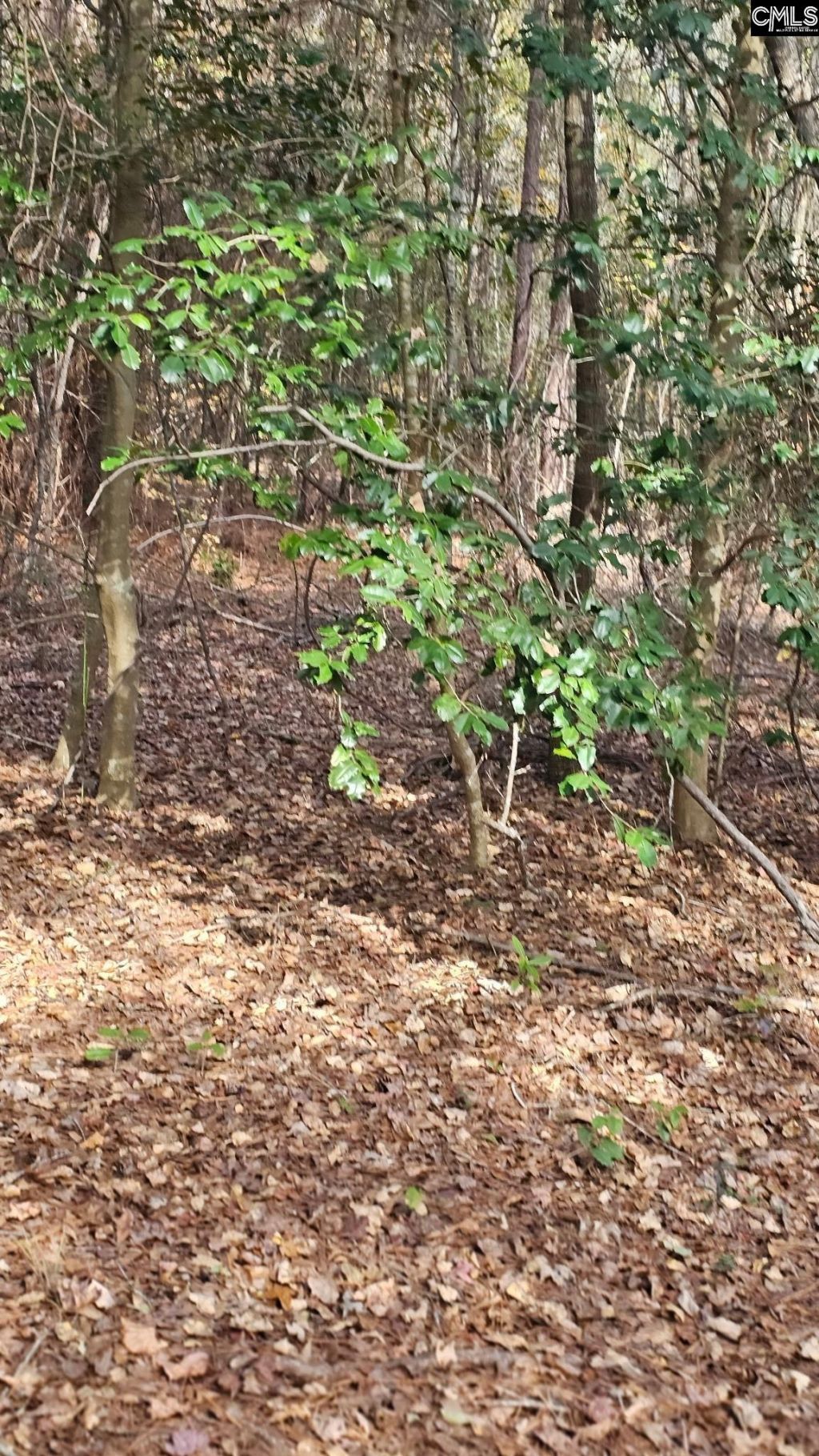 4079 Jefferson Davis Highway Photo 8