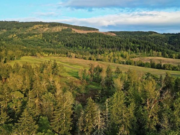 Lot 9 Dr, Harrisburg, OR 97446