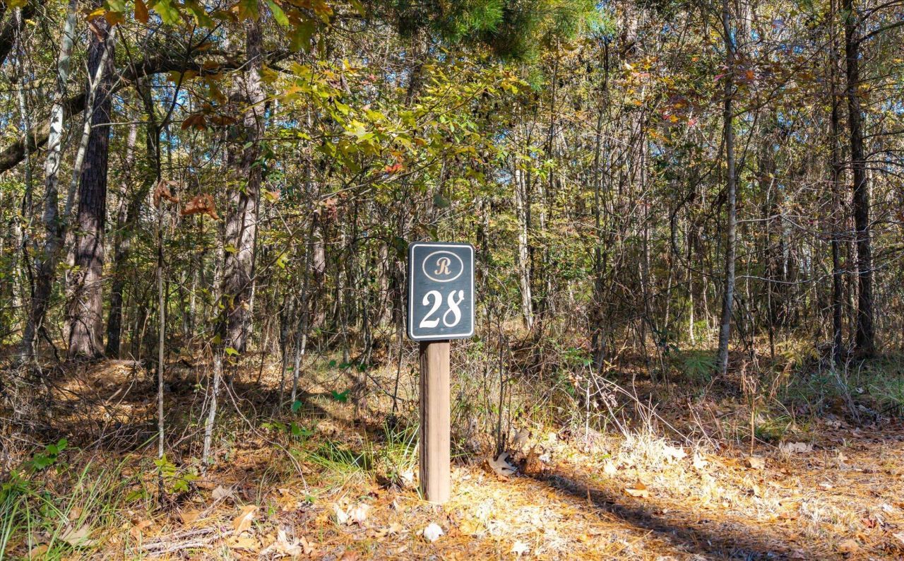 28 Buttonbush Drive Photo 1