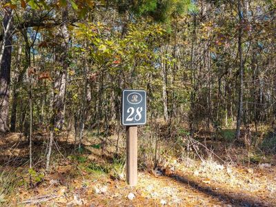 28 Buttonbush Drive, Ravenel, SC 29470