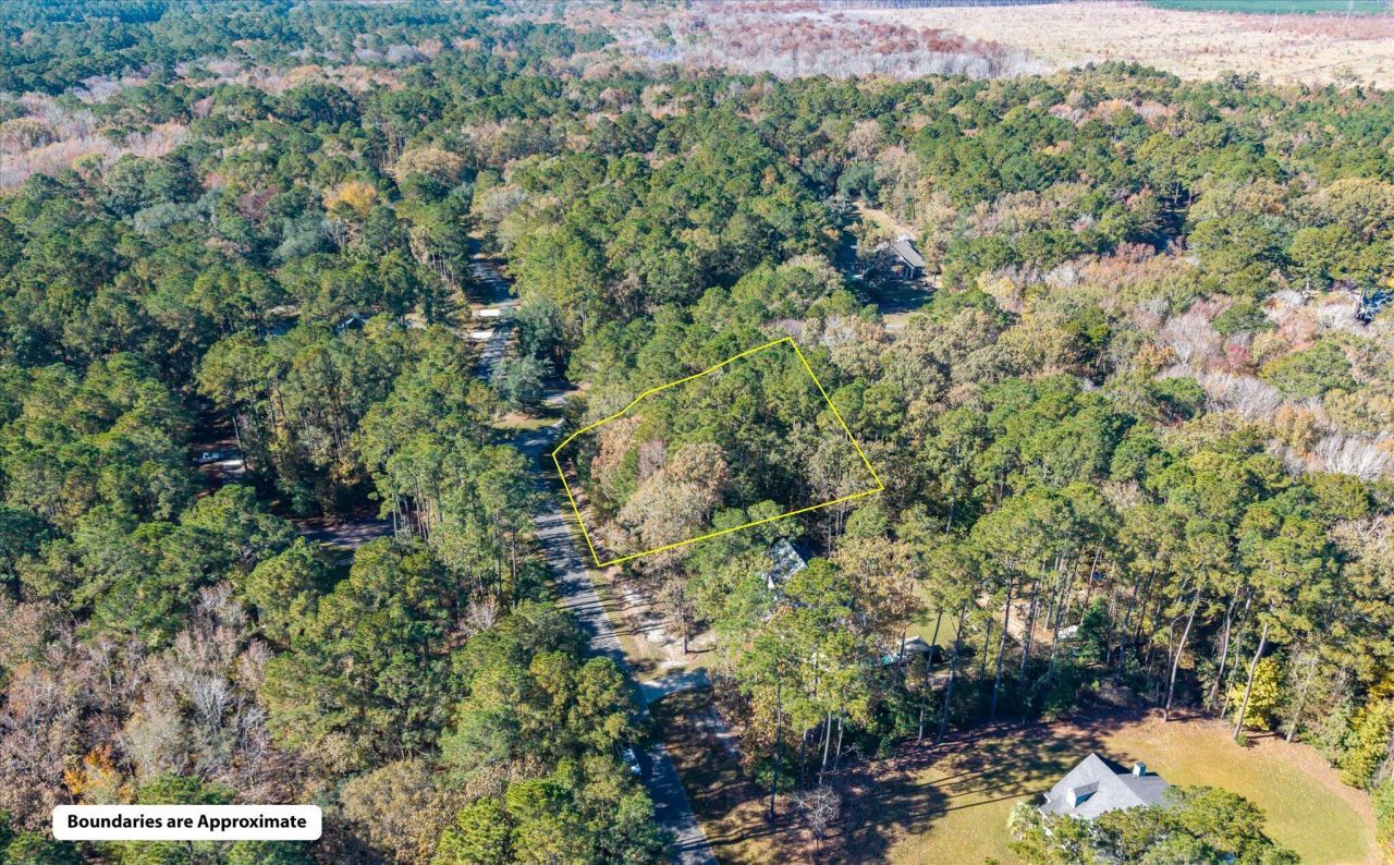 28 Buttonbush Drive Photo 11