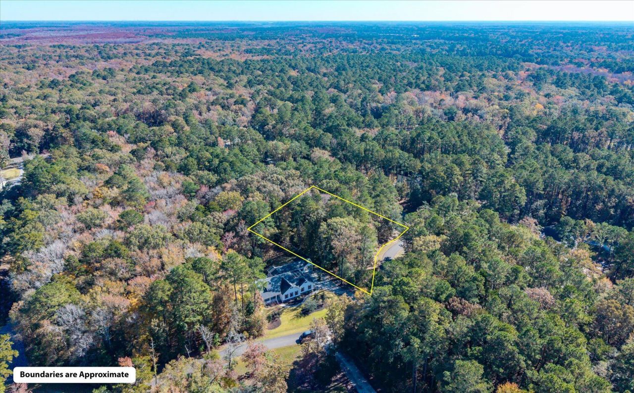 28 Buttonbush Drive Photo 15