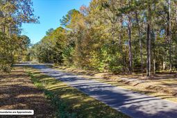 28 Buttonbush Drive photo 4