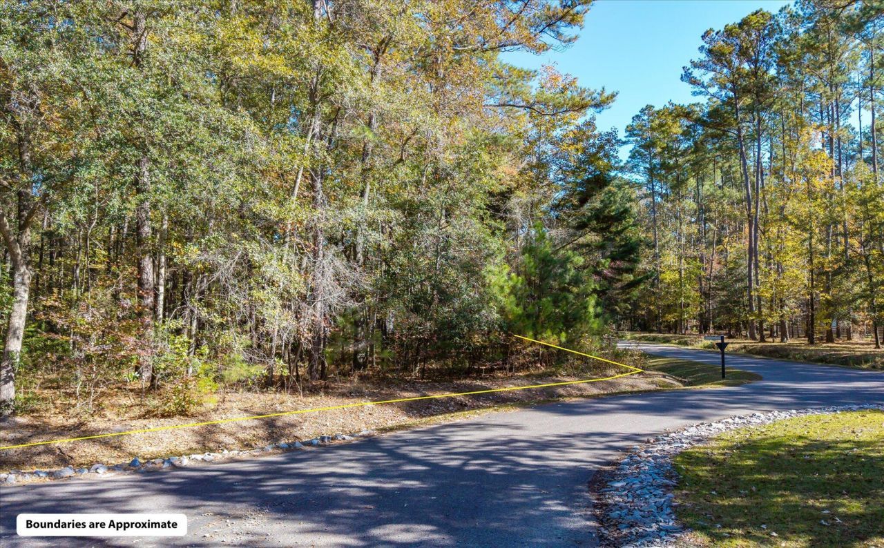 28 Buttonbush Drive Photo 6