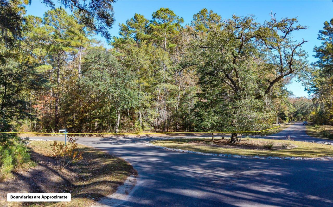 28 Buttonbush Drive Photo 8