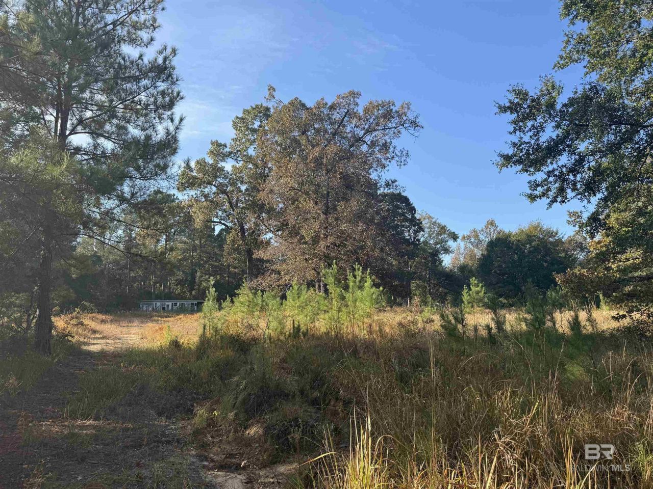 16600 Stacey Road, Bay Minette, AL 36507 Main Photo