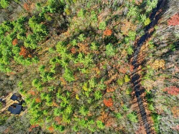 Lot 75 Peppervine Circle , Rosman, NC 28712