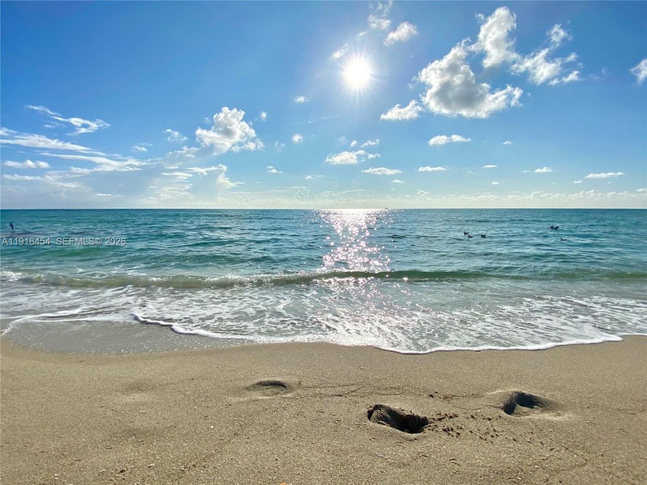 1000 Parkview Dr, Unit 518, Hallandale Beach, FL 33009 Photo