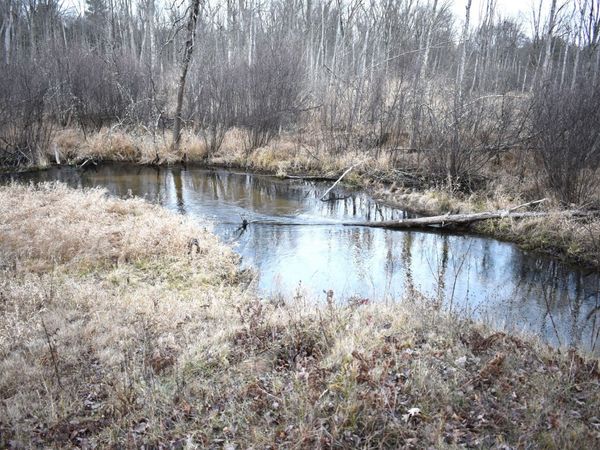 646 W 3 Mile Road, Luther, MI 49656