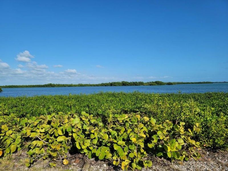 Oharas Key Street Gulf, Saddle Bunch, FL 33040 Photo