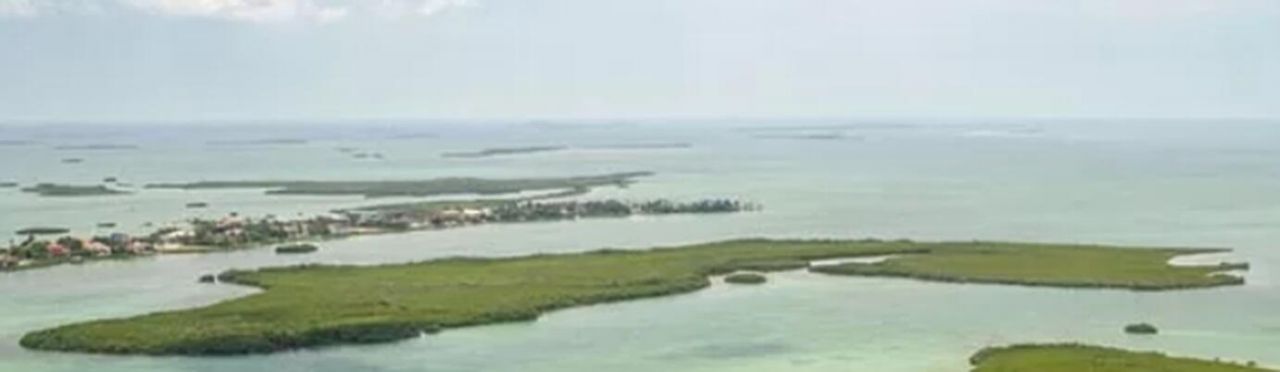 Oharas Key Street Gulf, Saddle Bunch, FL 33040 Photo
