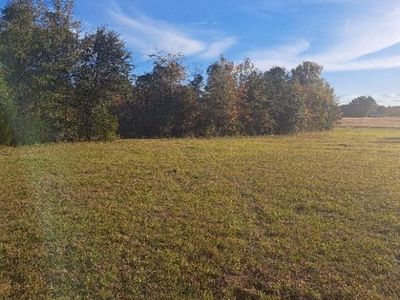 01 Joby Lane, Eutawville, SC 29048