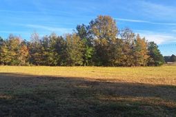 01 Joby Lane photo 4