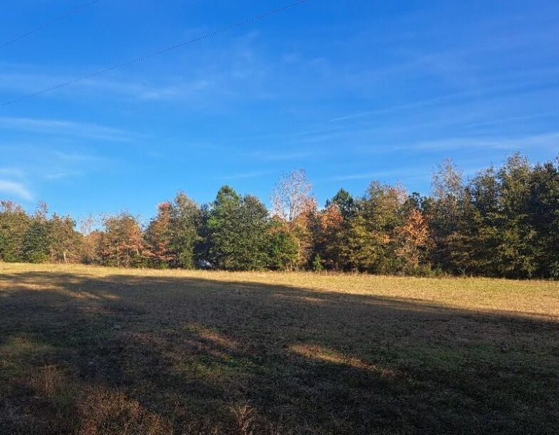 01 Joby Lane Photo 3