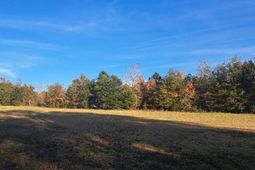 01 Joby Lane photo 4