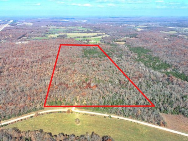 000 SE 500 Road, Collins, MO 64738