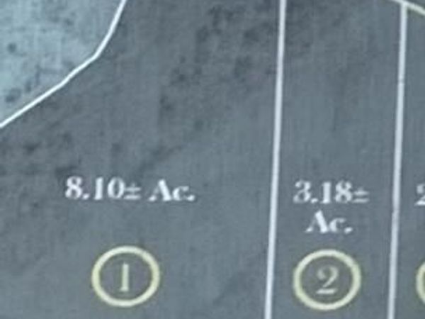 981 Holly Bush Road, Brandon, MS 39047