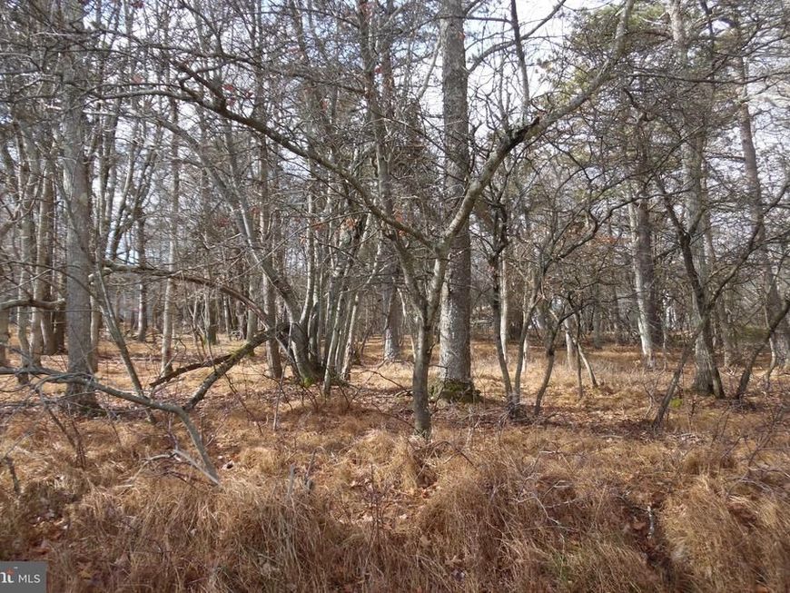 Lot D1922 Old Stage Road, Albrightsville, PA 18210 Main Photo