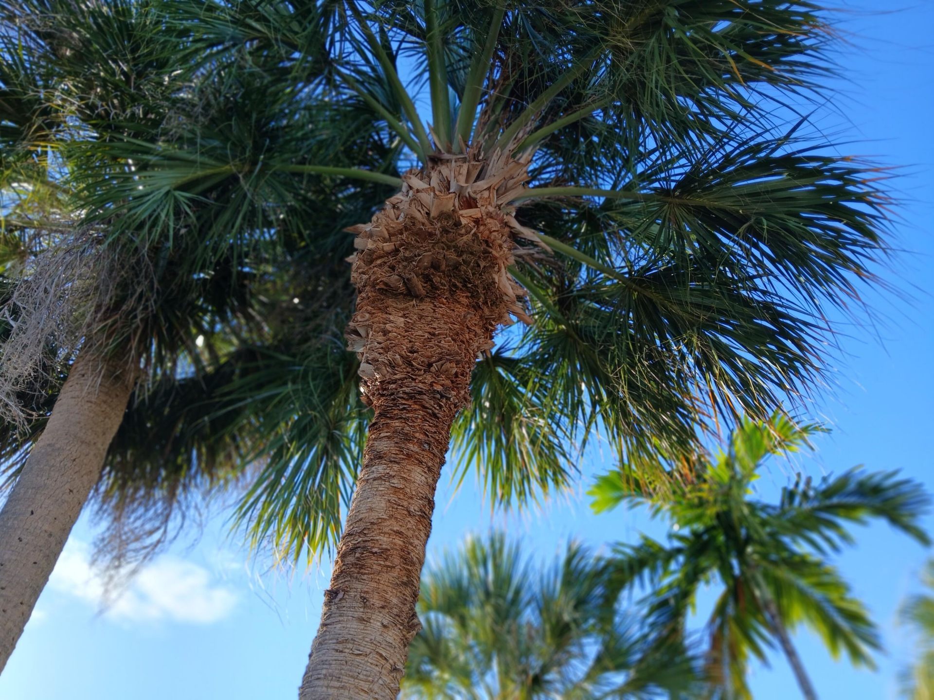 205 N 18th Avenue N, Lake Worth Beach, FL 33460 Photo