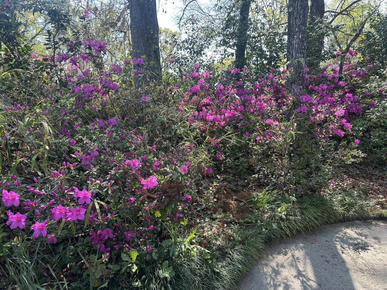 1016 Wheeler Drive Photo 39