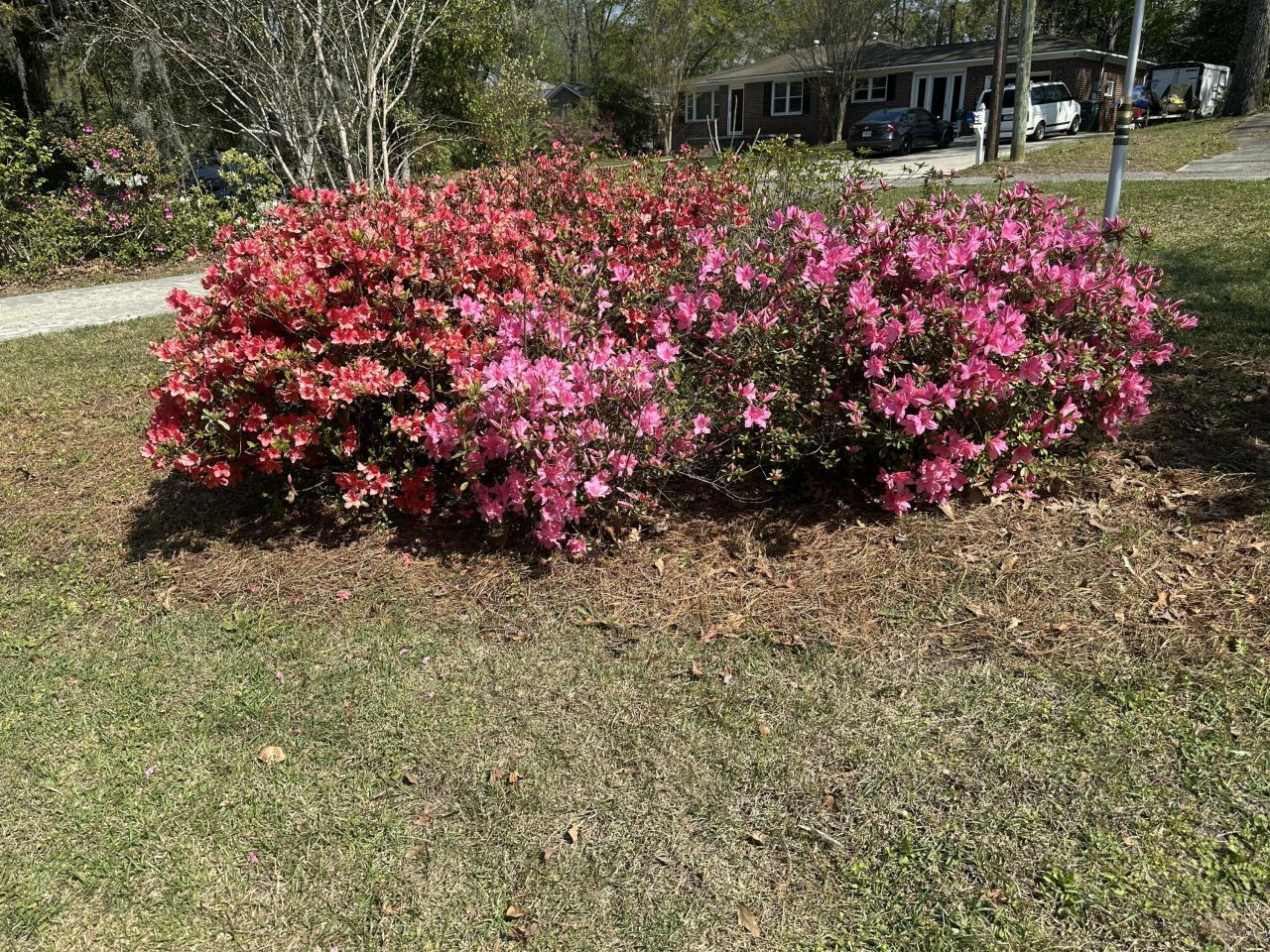 1016 Wheeler Drive Photo 7