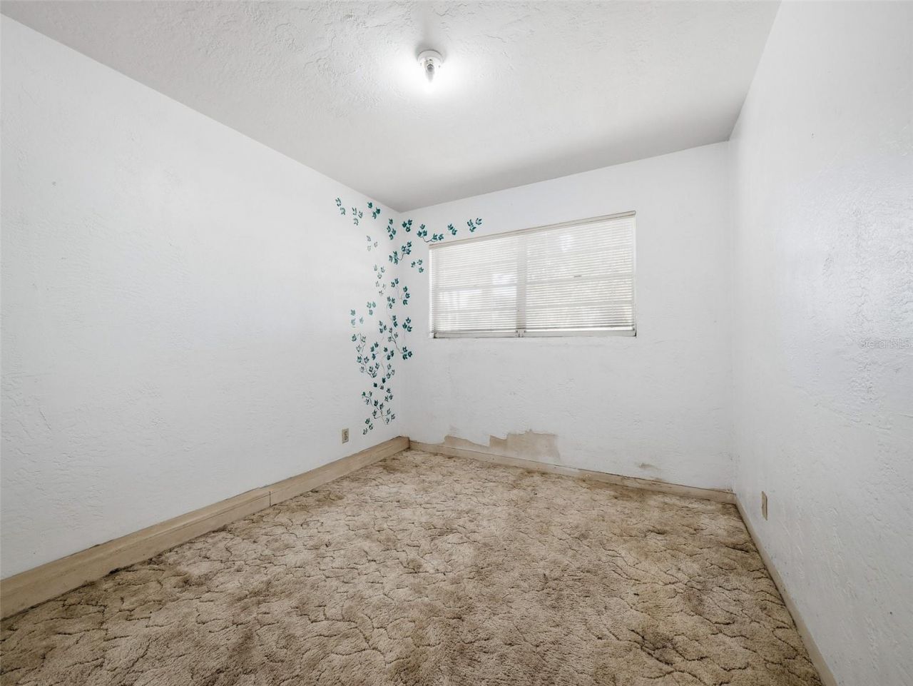 813 E 8th Avenue, New Smyrna Beach, FL 32169 Photo