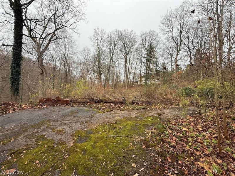 1500 N Revere Road, Bath, OH 44333 Photo 13