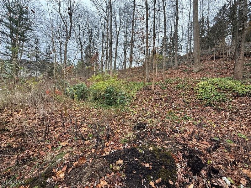 1500 N Revere Road, Bath, OH 44333 Photo 14