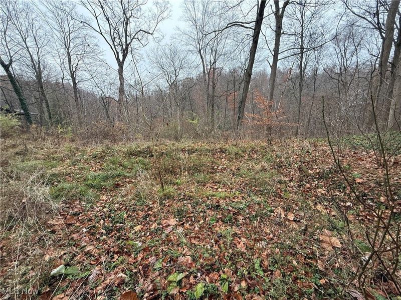 1500 N Revere Road, Bath, OH 44333 Photo 17