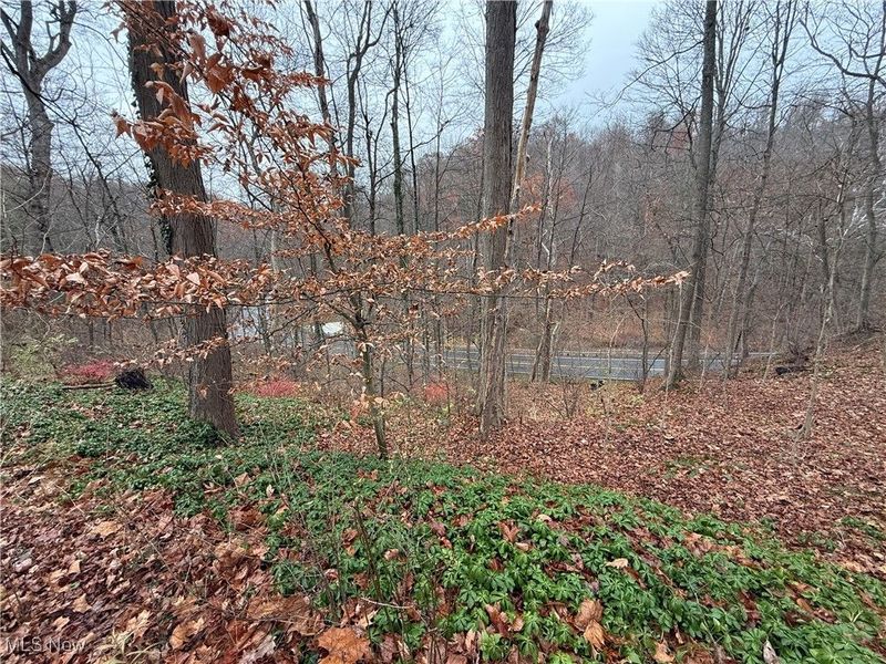 1500 N Revere Road, Bath, OH 44333 Photo 18