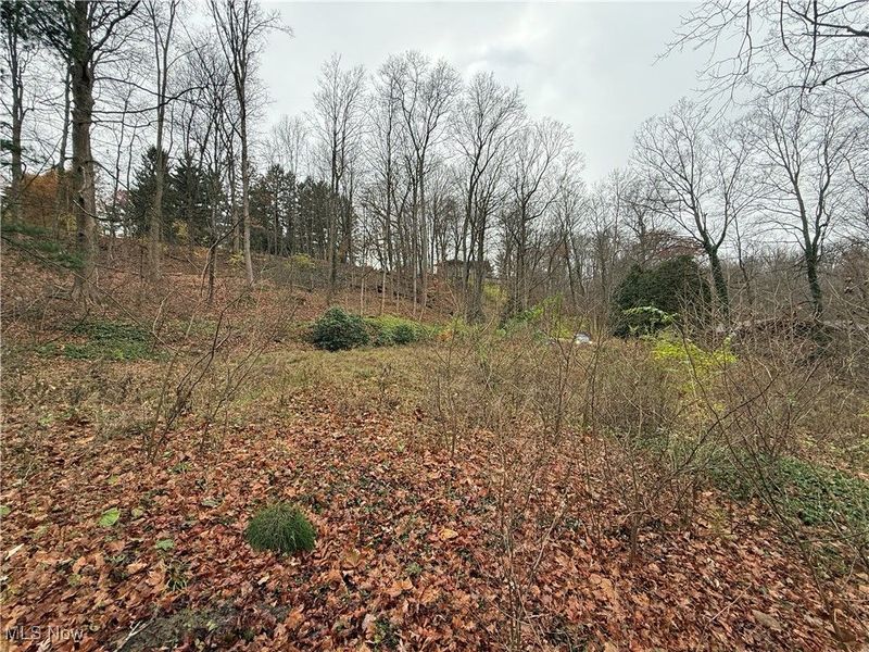 1500 N Revere Road, Bath, OH 44333 Photo 19