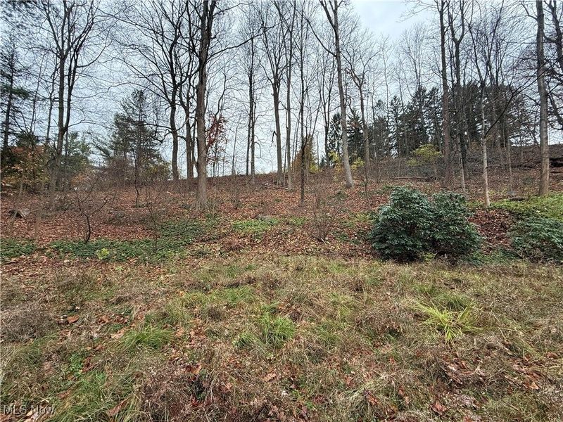 1500 N Revere Road, Bath, OH 44333 Photo 20