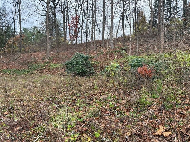 1500 N Revere Road, Bath, OH 44333 Photo 21