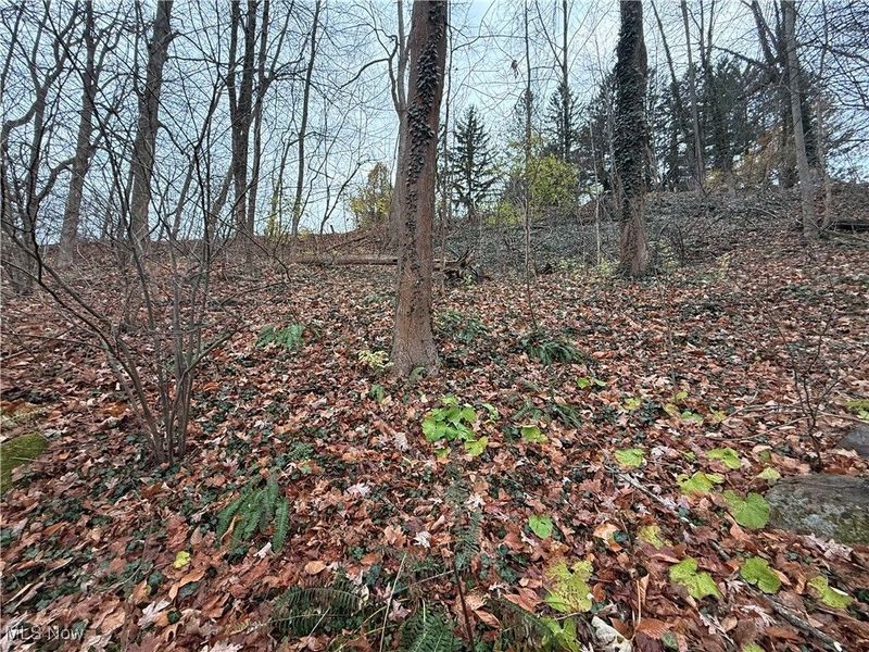 1500 N Revere Road, Bath, OH 44333 Photo 23