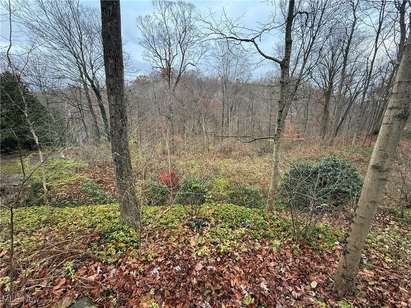 1500 N Revere Road, Bath, OH 44333 Photo 24