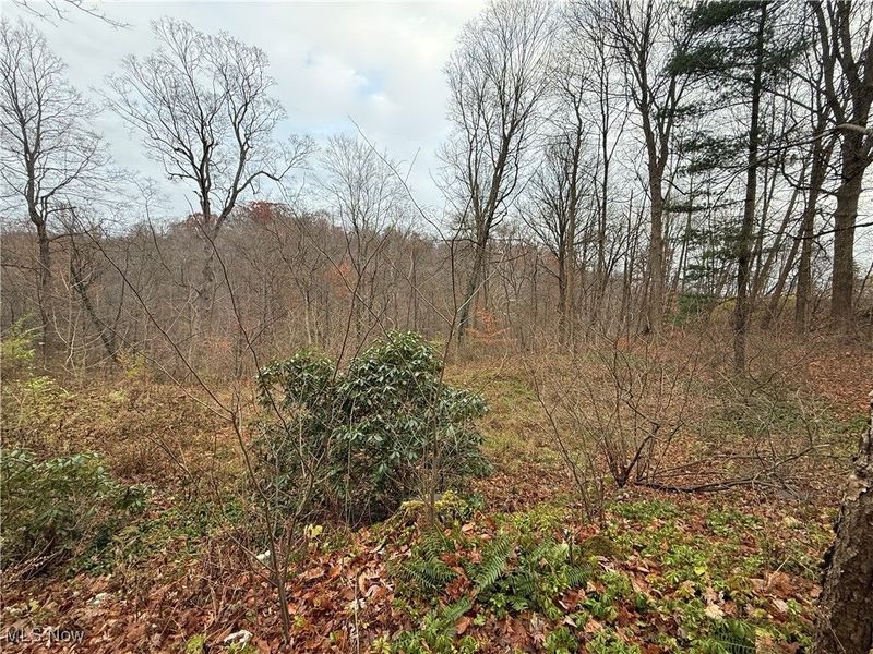 1500 N Revere Road, Bath, OH 44333 Photo 25