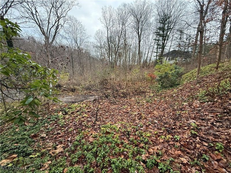 1500 N Revere Road, Bath, OH 44333 Photo 28