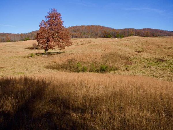 Tract 7 West Of Barlow Rd, Rock Island, TN 38581