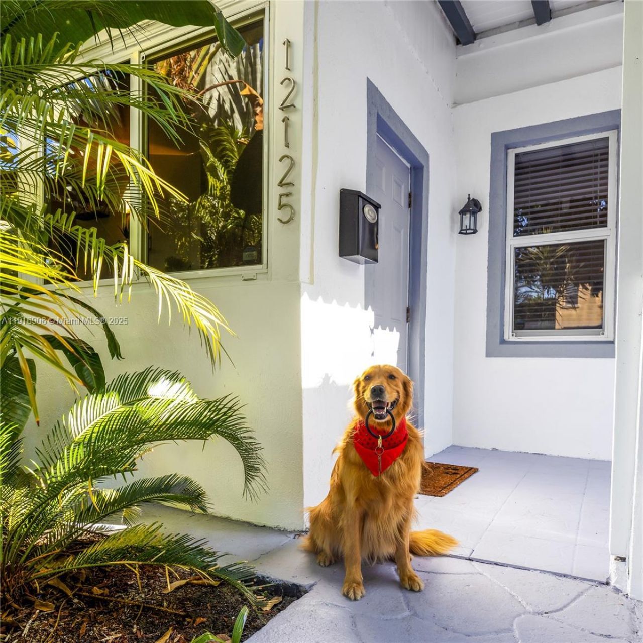 12125 NE 5th Ave, North Miami, FL 33161 Photo