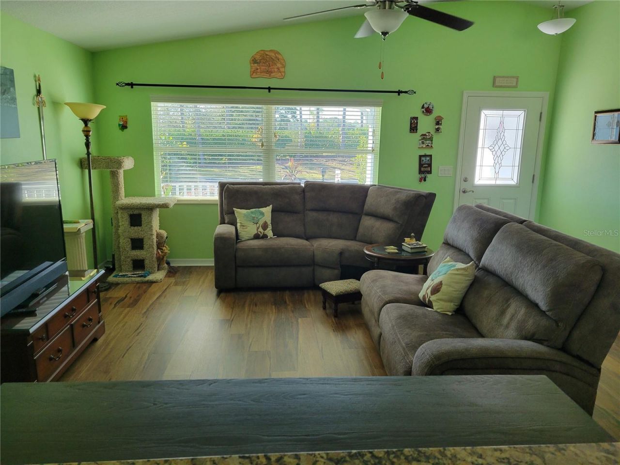 27343 Roanoke Drive, Leesburg, FL 34748 Photo