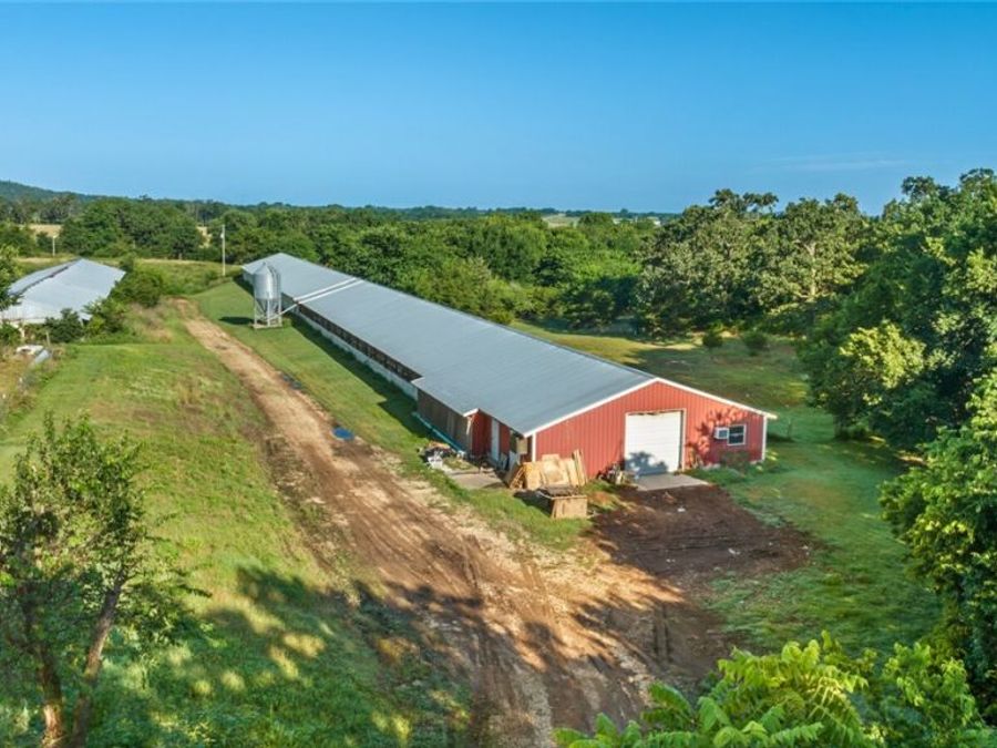 Property Image 14