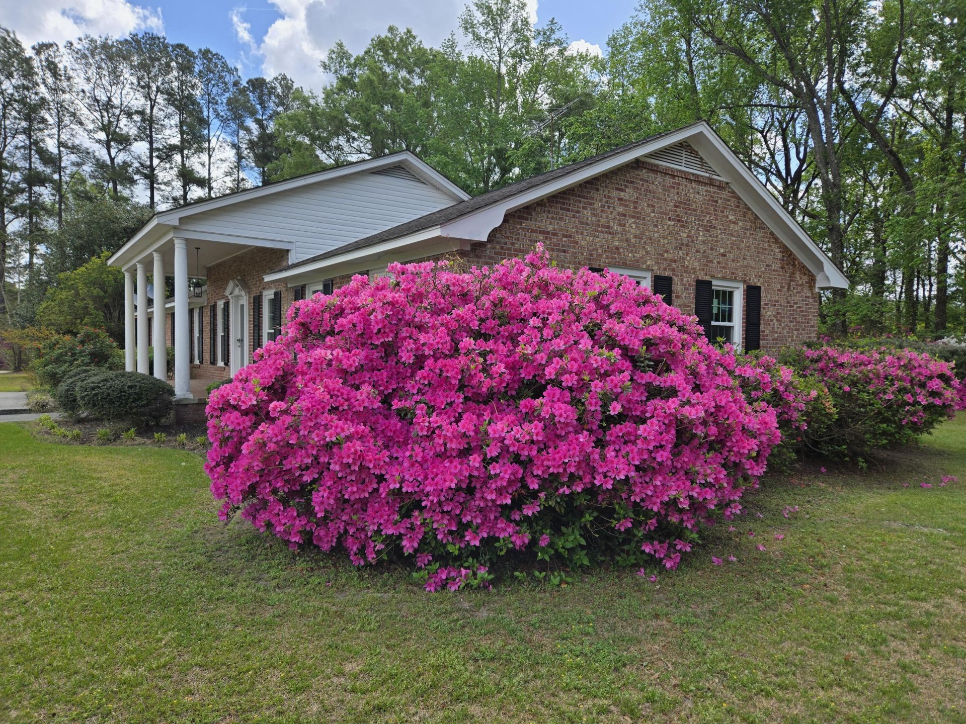 598 Maple Branch Road Photo 2