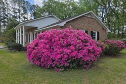 598 Maple Branch Road photo 4