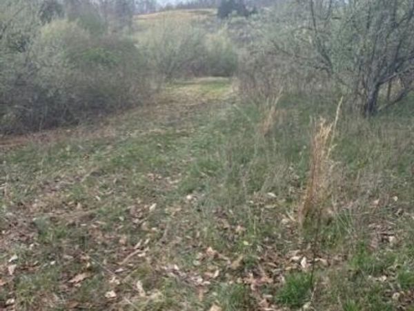 Tbd Sulphur Springs Road, Jonesville, VA 24263