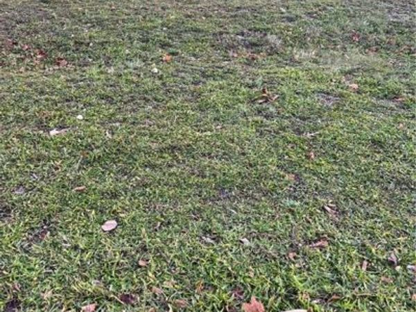 0 Ledges Trail, Oakwood, OH 45409