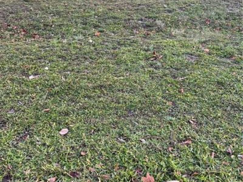 0 Ledges Trail, Oakwood, OH 45409 Photo 1