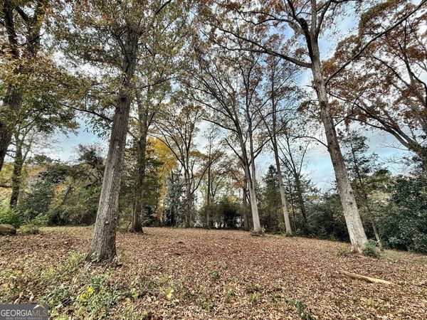0 S Lee Street, Forsyth, GA 31029