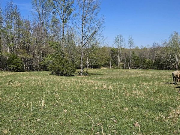 1075 County Road 417, Rector, AR 72461