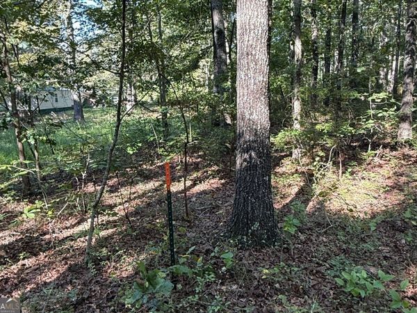 0 Turkey Court, Unit LOT 42 & 4, Waco, GA 30182