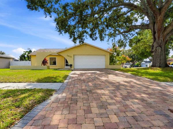 5425 PENTAIL CIRCLE, TAMPA, FL 33625